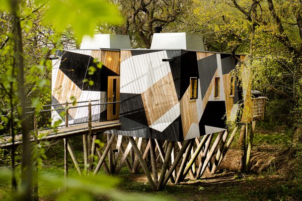 Dazzle Treehouse set in an ancient Dorset wood