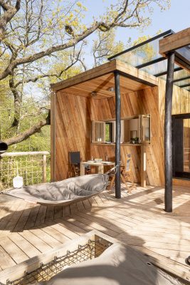 Dazzle Treehouse at Mallinson's Woodland Retreat