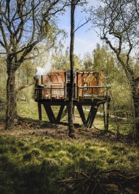 Dazzle Treehouse at Mallinson's Woodland Retreat