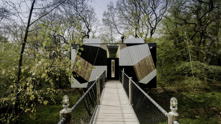 Treehouse holiday in Dorset