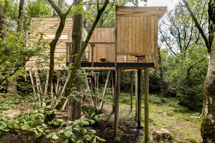 Pinwheel Treehouse at Mallinson's Woodland Retreat