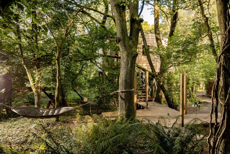 Pinwheel Treehouse at Mallinson's Woodland Retreat